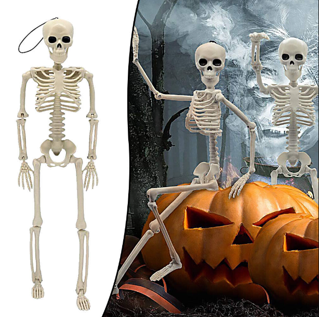 Halloween Human Skeleton Poseable Decoration Party Prop 40*12cm