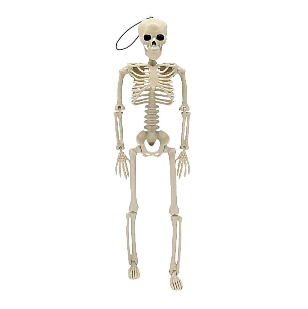 Halloween Human Skeleton Poseable Decoration Party Prop 40*12cm