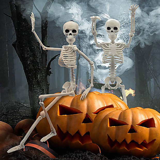 Halloween Human Skeleton Poseable Decoration Party Prop 40*12cm